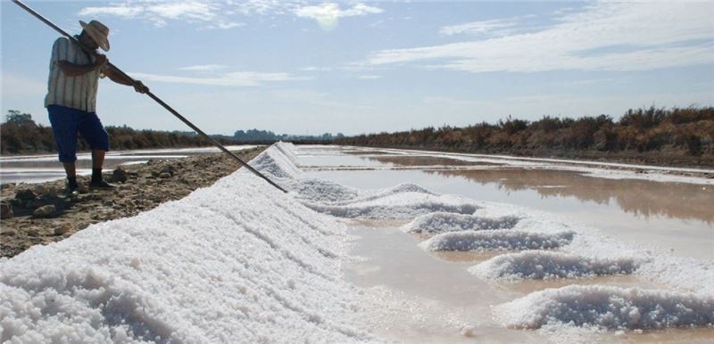 Традиционный солеварень, Кадисский залив © Salarte