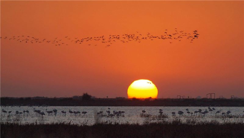 Морская вода перекачивается на равнину и остается испаряться: среда обитания и промышленность © Salarte