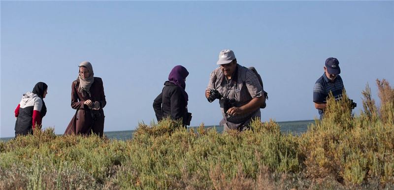 Ливийские защитники природы ищут гнезда крачек в Фарве, Ливия © CEPF Med Ливийские защитники природы ищут гнезда крачек в Фарве, Ливия © CEPF Med