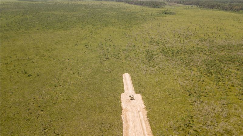 Алманы Мирес, Беларусь © APB-BirdLife Belarus Алманы Мирес, Беларусь © APB-BirdLife Belarus