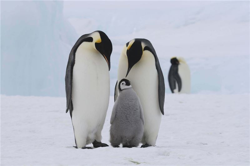 © TravelmediProductions / Shutterstock © TravelmediProductions / Shutterstock