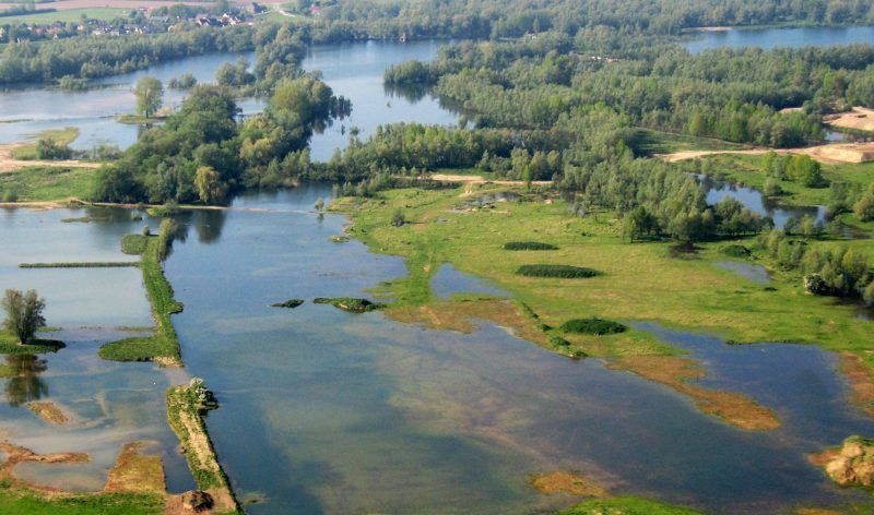 Миллингервард © Ark Nature - Новая Европа Миллингервард © Ark Nature - Новая Европа