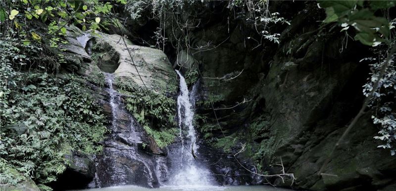 AtewForest - исток трех рек © Shutterstock AtewForest - исток трех рек © Shutterstock