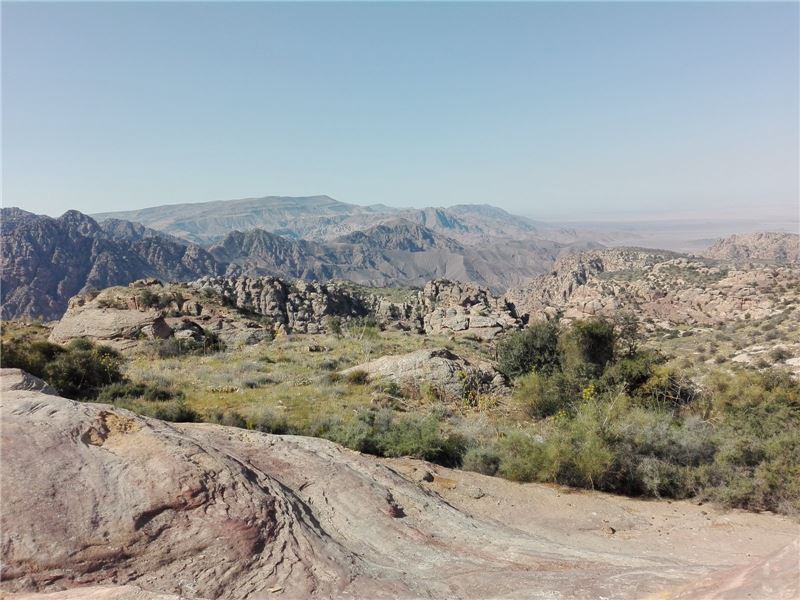 DanLandscape © RSCN DanLandscape © RSCN