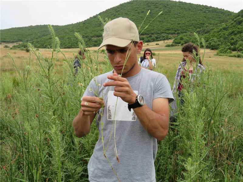 Составление карты водно-болотных угодий на озере Пресплейк © PrespOhrid Nature Trust Составление карты водно-болотных угодий на озере Пресплейк © PrespOhrid Nature Trust
