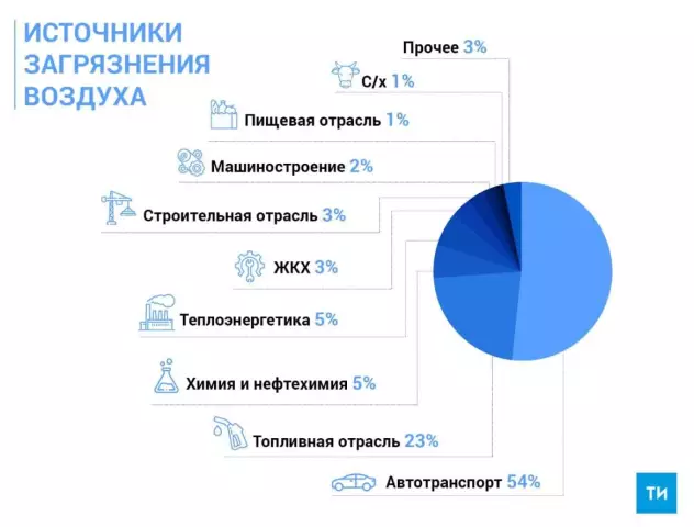 Как растения влияют на качество воздуха в городах