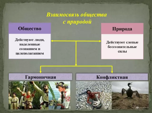 Симбиоз природы: взаимодействие растений и животных