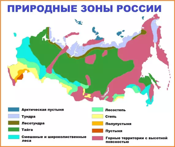 Животный мир лесов и джунглей: экосистемы в движении