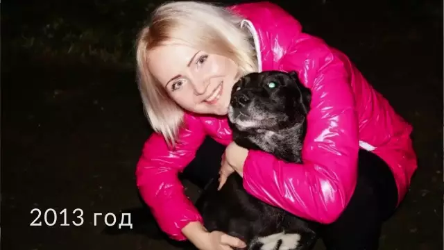 Советы по обучению летней собаки