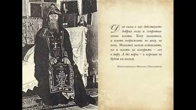 Cat нарушает все его резолюции 10 минут в новый год