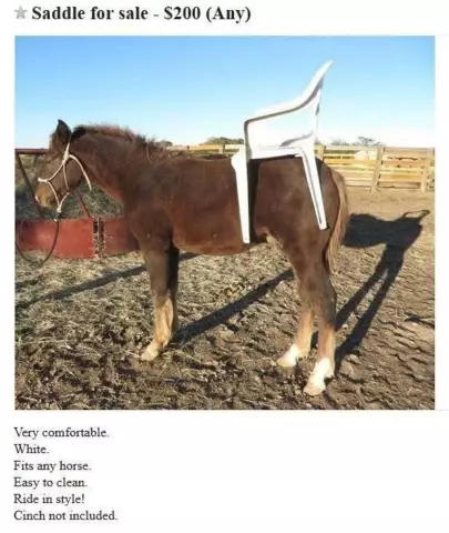Craigslist Dog-Walking Ad - это все виды сумасшедших