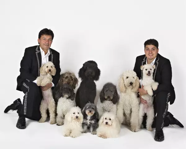 Знакомьтесь с суперзвездой Olate Dogs of America's Got Talent