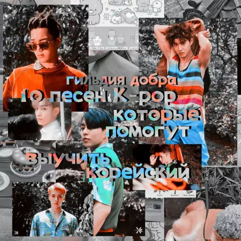 10 песен из плей-листа собаки