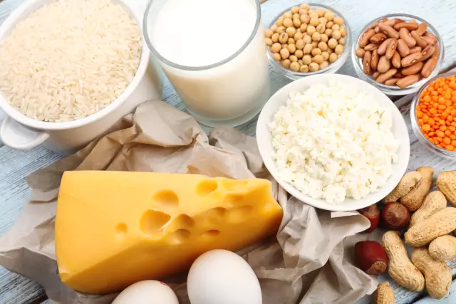 5 собак принимают укус из акульей недели