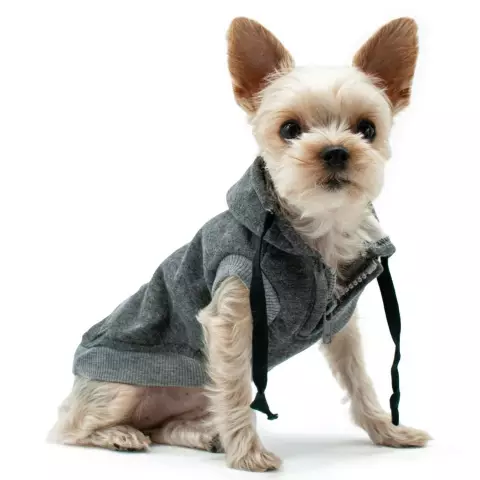 Американская одежда Hoodies для одежды: сделайте свою собаку хипстером