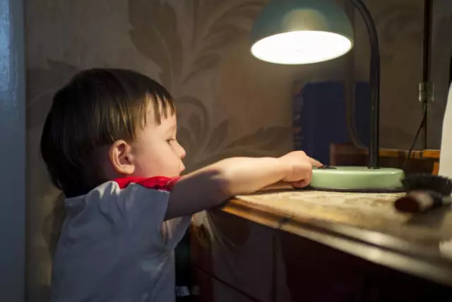 5 ступеней печали собаки, когда вы покидаете дом (в фотографиях)