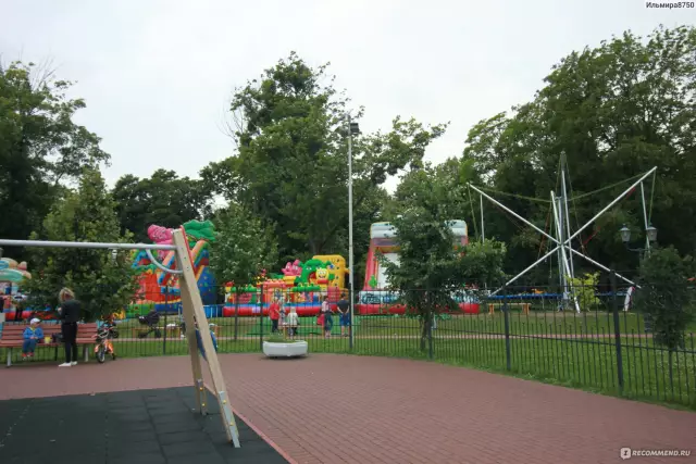 Праздничные продукты, которые не безопасны для кошек - что они и что делать