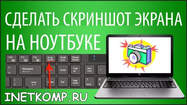 6 способов сделать вязание кошачьей моды