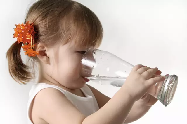 Обезвоживание у собак - подвержена ли ваша собака риску?