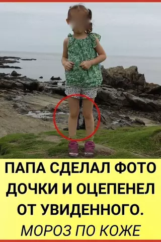 10 Уход за собакой не удается и как их избежать