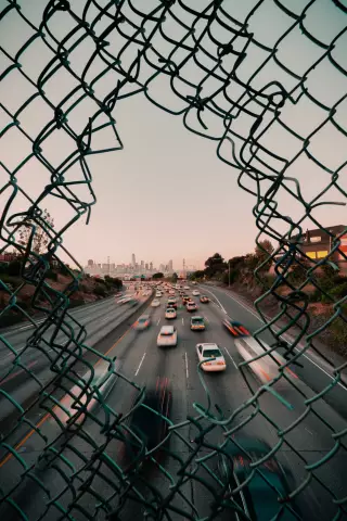 Отвечая на вопросы о Pano на собаках (также известный как Panosteitis)