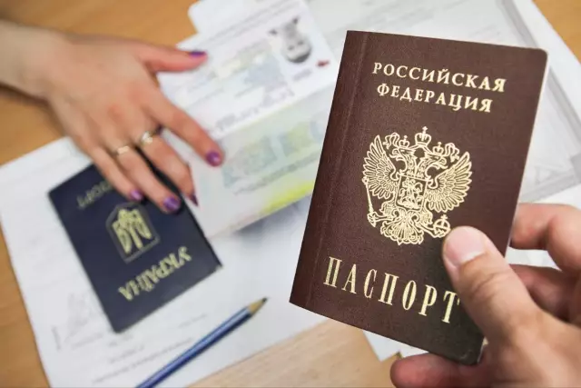 Какие выстрелы нужны собакам? Руководство по вакцинации собак и лекарствам