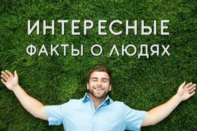 15 интересных фактов о красочных крупных собаках Ирландии