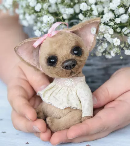 Хотите обучить свою собаку? Вам понадобятся эти 5 вещей