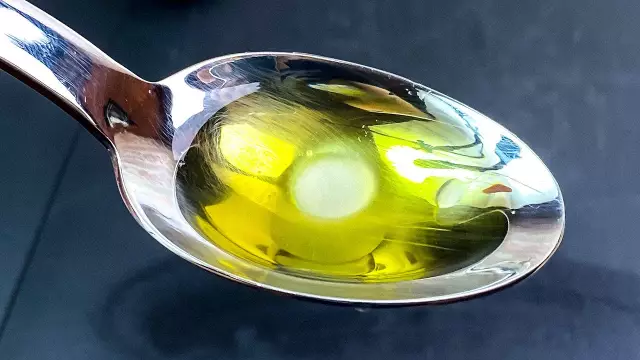Праздники и собаки: держите свою папу счастливой в каждый возраст