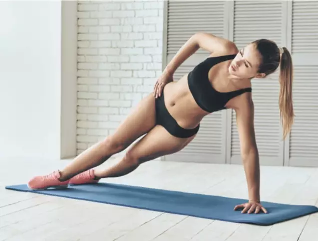 Кошки и фейерверки: как подготовить свою китти к летнему фейерверку