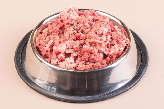 GoBone и более автоматические продукты для собак, которые мы хотели бы увидеть
