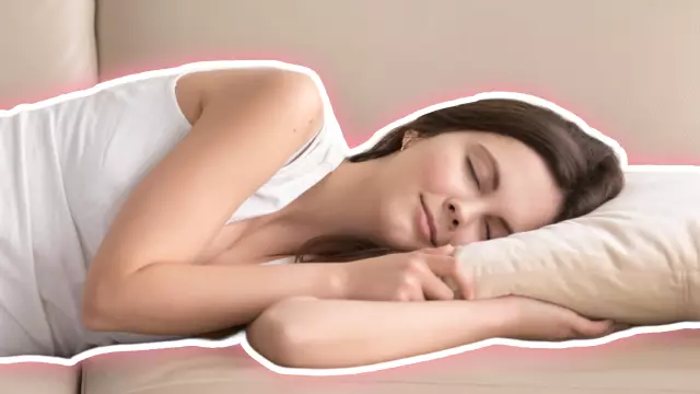 Есть ли на самом деле недостаток укомплектованных собак?