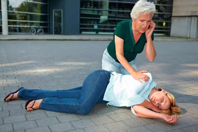 Приюта для собак-поводырей, Пиа Пиа набирает номер 911, чтобы спасти ее человека