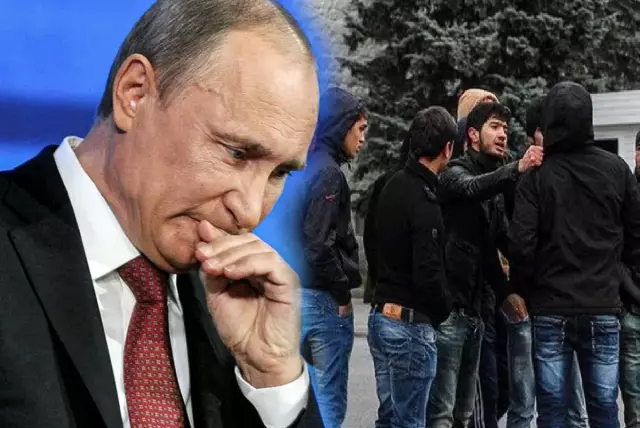 5 способов Мои кошки действуют, как они, нахальные подростки