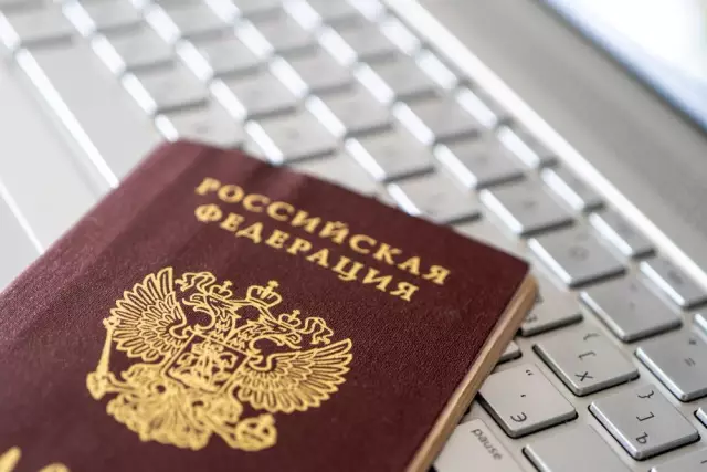 Должны ли люди ставить своих кошек в костюмах Хэллоуина?