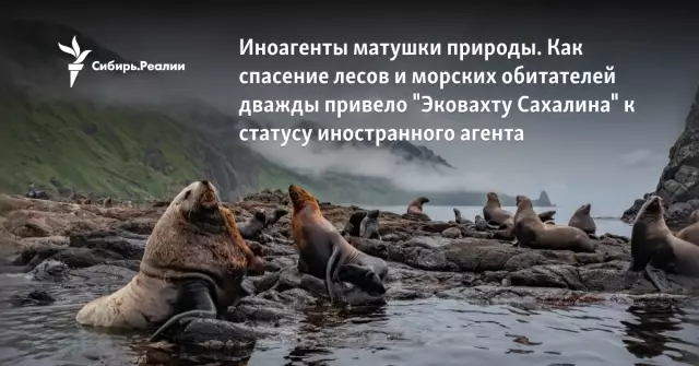 Спасение животных привело меня к великой любви к моей жизни