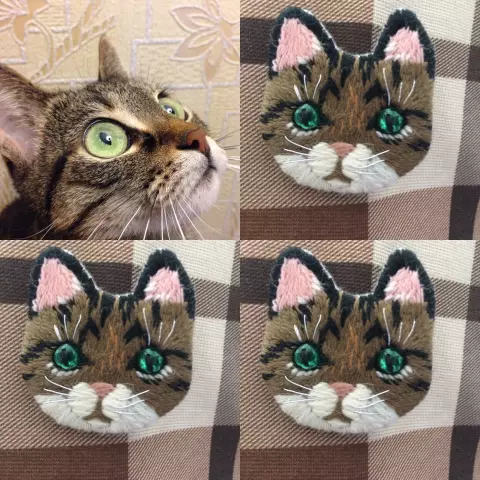 У вашей кошки есть вечерняя рутина?