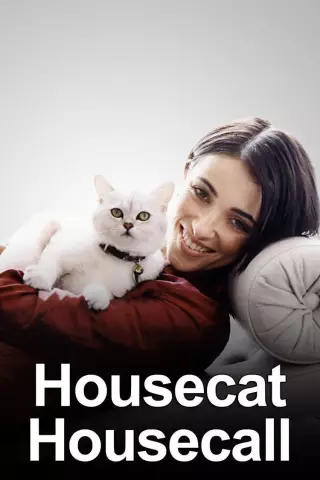 GIVEAWAY: Выиграйте сериал Housecat Housecall Season 1 DVD