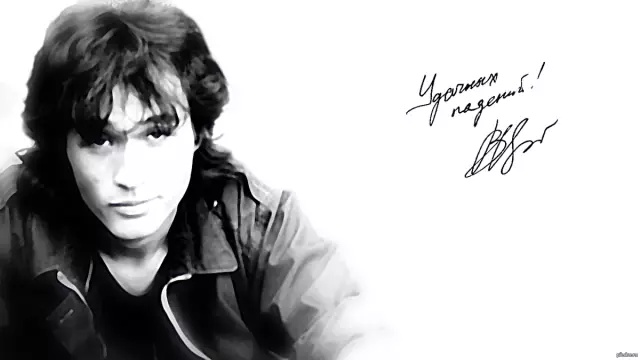 Панчо Чихуахуа - звезда Йоги Голливуда
