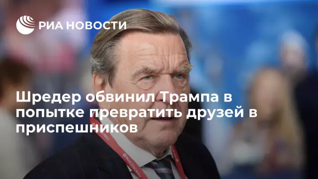 Как превратить своих однополых друзей в любителей кошек Bonafide