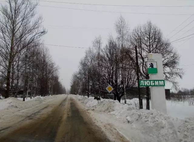 Мы любим фотографии Джулии Кристи «Летающие собаки»