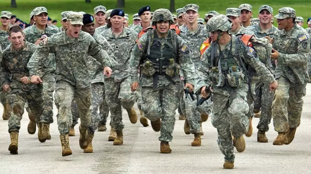 Как американские военные ветеринары помогают домашним животным Гаити