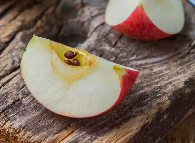 Эти 6 праздничных продуктов не безопасны для собак