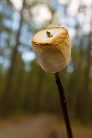 Marshmallow пытается выпустить Roodie, толстовку с капюшоном