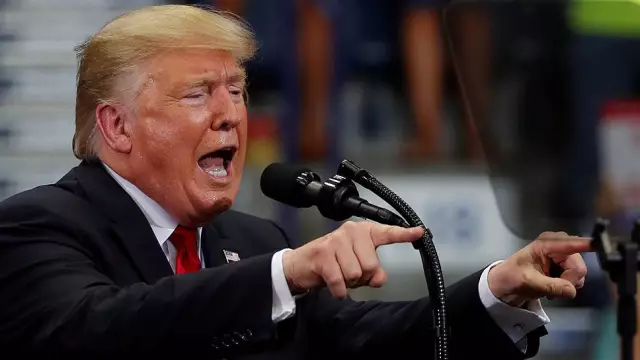 6 причин, почему президент Дональд Трамп должен получить собаку