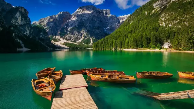 Походы с собаками - советы для приведения вашего щенка на тропе