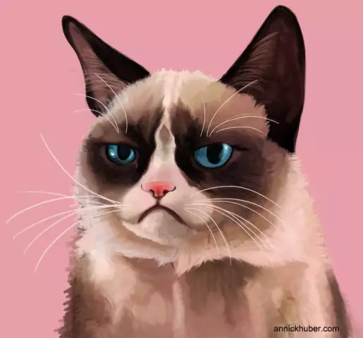 У Grumpy Cat есть фильм? Какого черта?