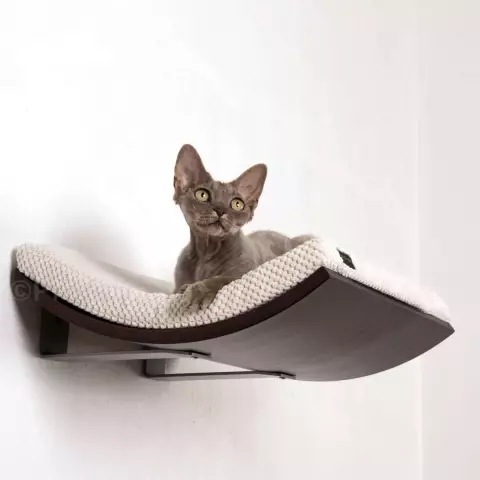 Cat Flair: аксессуары для кошек, которые будут запускать Cat Banter