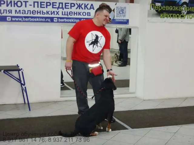 Хотите, чтобы ваша собака могла жить вечно? Тед Kerasote имеет некоторые идеи о том, что