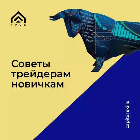 Советы по получению максимальной прибыли от тренера для собак